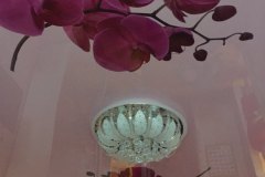изображение_viber_2020-03-22_08-57-41