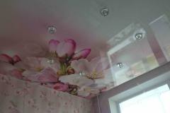 9e93305f-d093-40d5-8c8f-7a52662a3f98